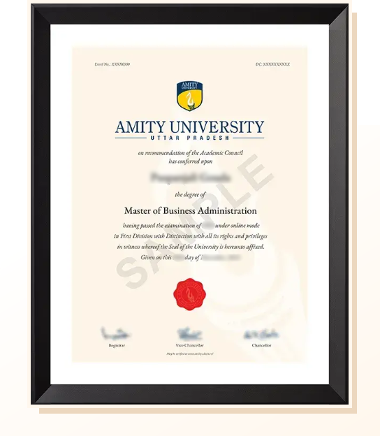 Amity Online certificate